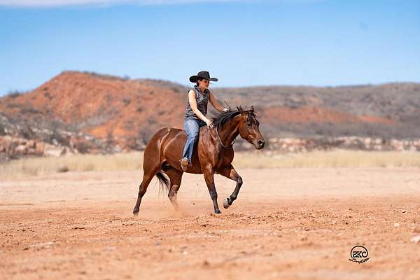 trail-riding-quarter-horse