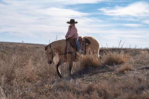 flashy-quarter-horse