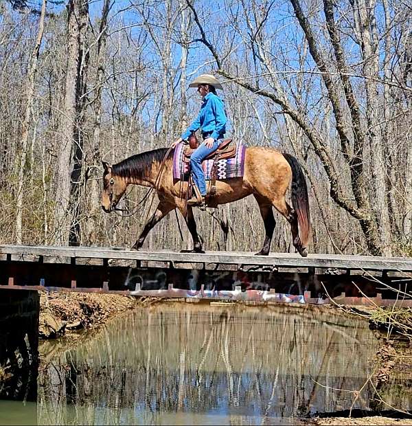 ranch-versatility-quarter-horse