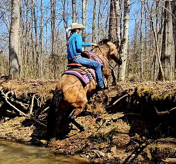 ranch-work-quarter-horse