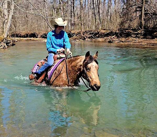 roping-quarter-horse