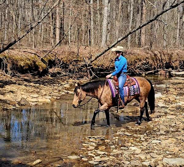 trail-riding-quarter-horse