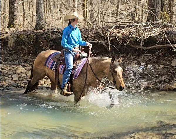 ridden-western-quarter-horse