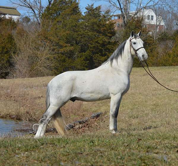 keg-shoes-horse