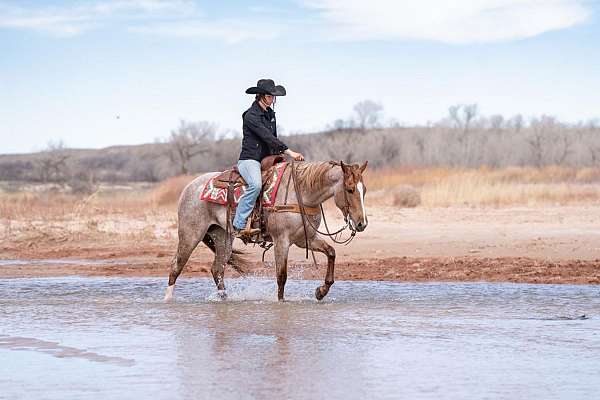 barrel-racing-quarter-pony