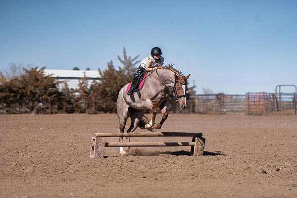 roping-quarter-pony