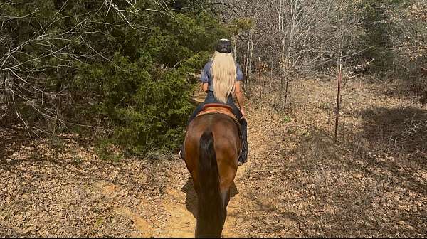 ranch-versatility-quarter-horse