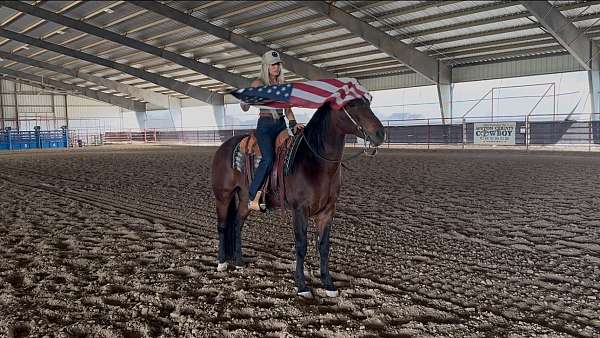 trail-riding-quarter-horse