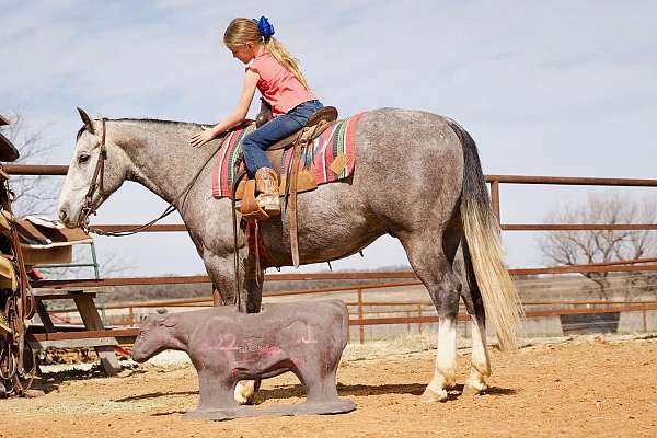 calf-roping-quarter-horse