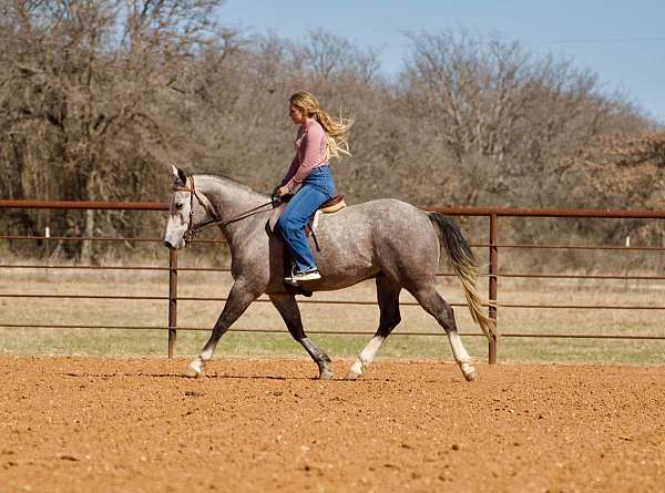 ranch-versatility-quarter-horse