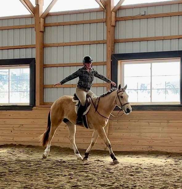 dressage-quarter-horse