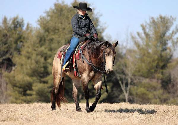 flashy-quarter-horse