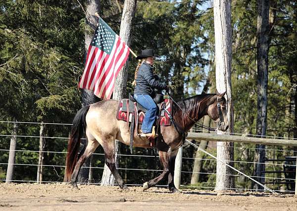 athletic-quarter-horse