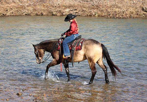 roping-quarter-horse