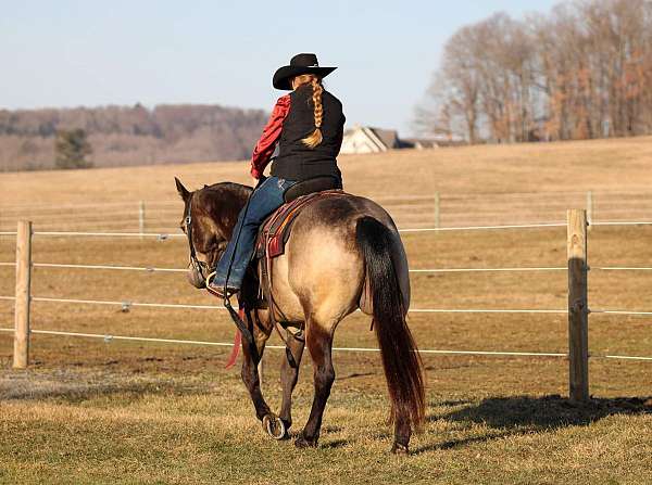 trail-riding-quarter-horse