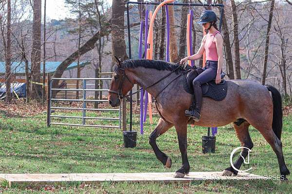 kid-safe-percheron-horse