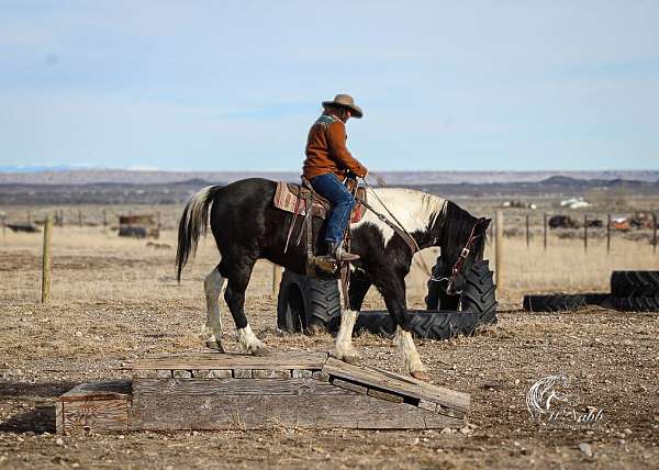 driving-draft-horse