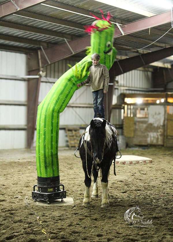 trail-riding-draft-horse