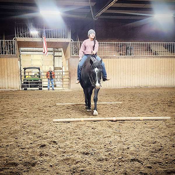 barrel-racing-quarter-horse