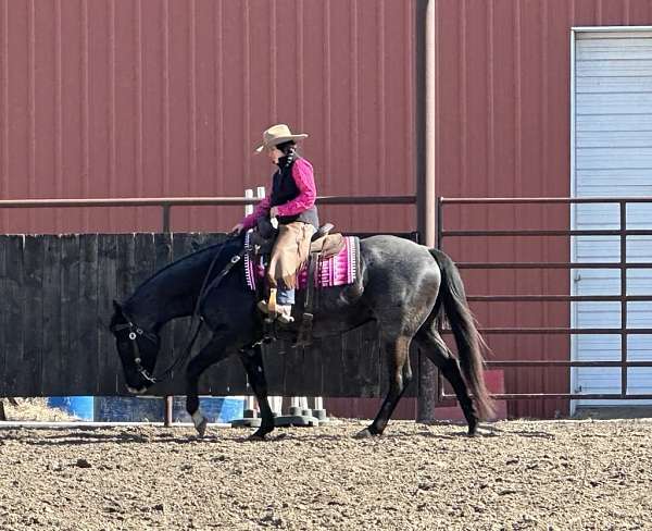 ranch-work-quarter-horse