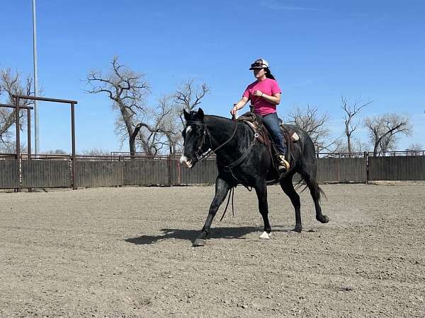 roping-quarter-horse