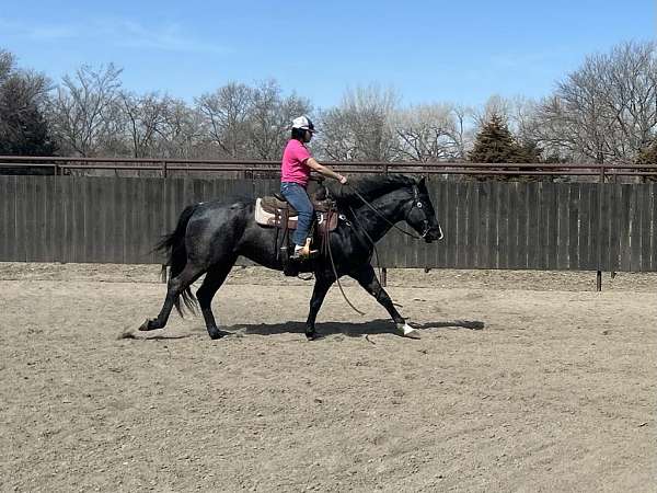 trail-riding-quarter-horse