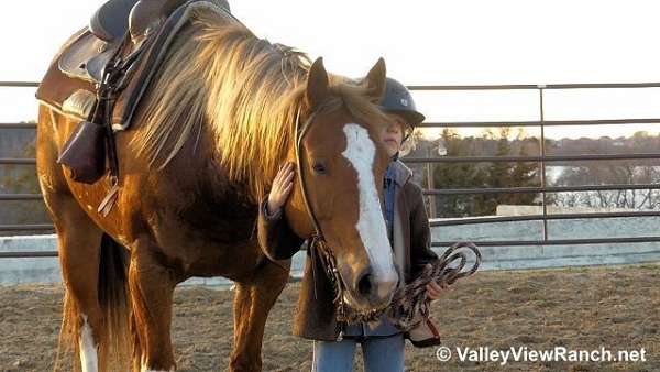 trail-riding-quarter-horse