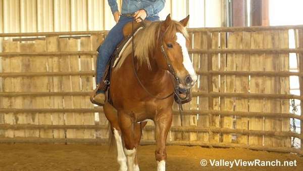 sorrel-quarter-horse-gelding