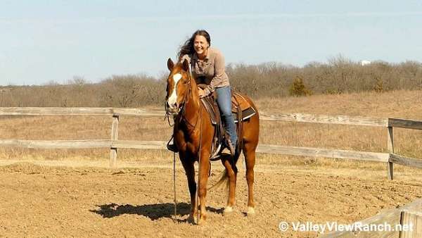 ranch-quarter-horse