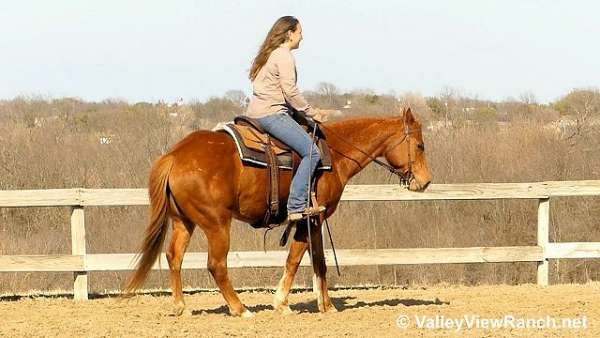 sorrel-quarter-horse-mare