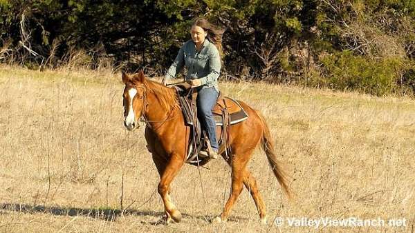 trail-riding-quarter-horse