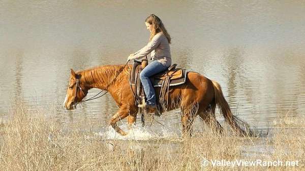 sorrel-ranch-versatility-horse