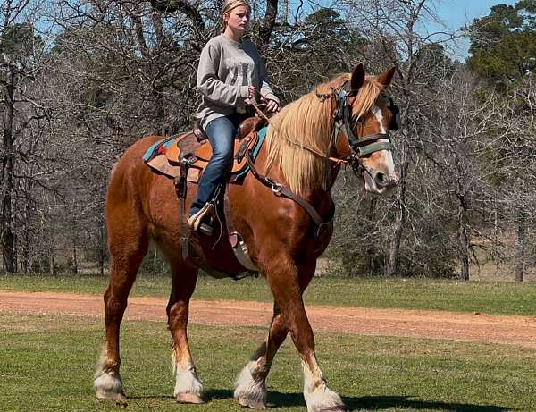 kid-safe-belgian-horse