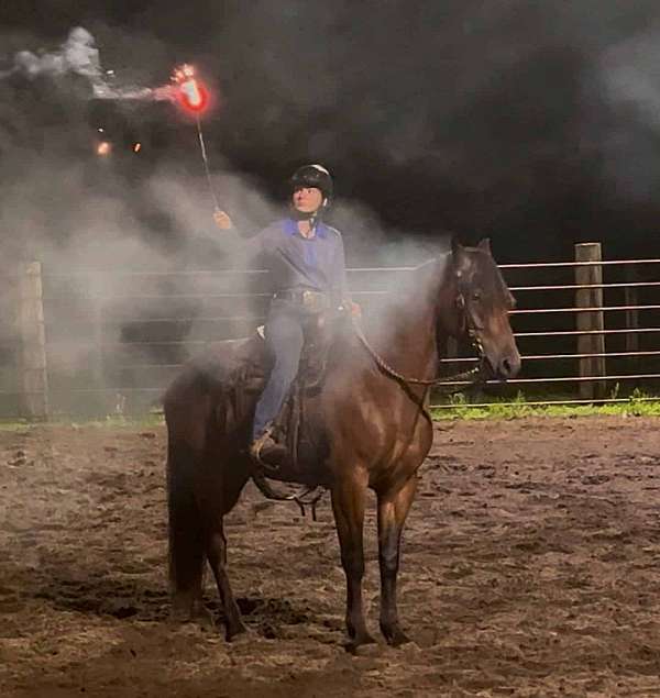 great-for-beginners-pony
