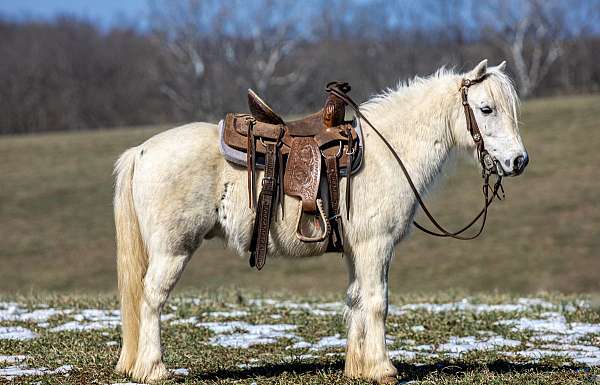 ranch-work-pony