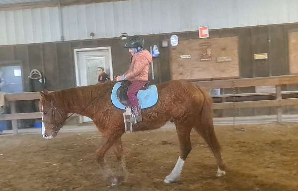 ball-bashkir-curly-horse