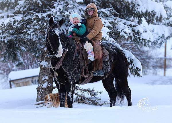 ranch-versatility-quarter-horse