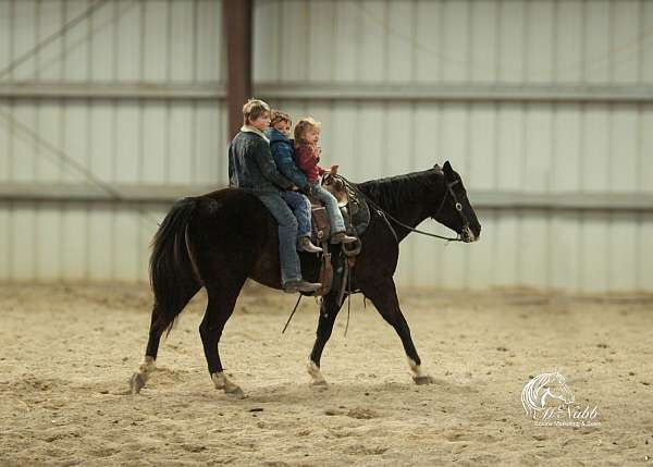 roping-quarter-horse