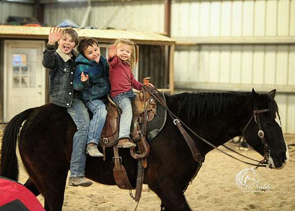 ranch-work-quarter-horse