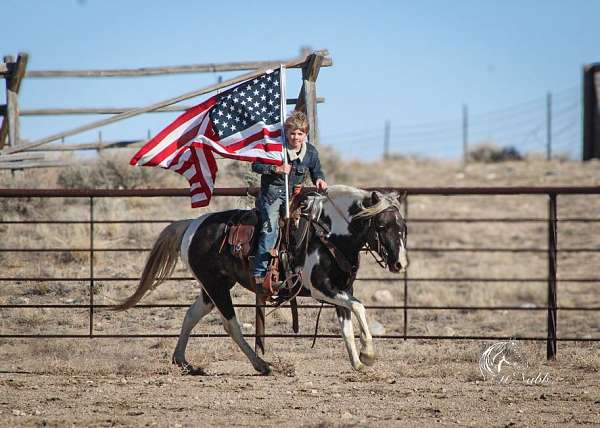 ranch-work-quarter-pony