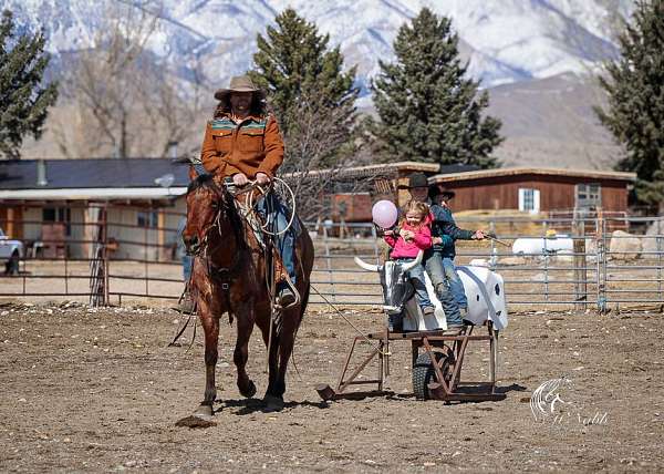 roping-quarter-horse