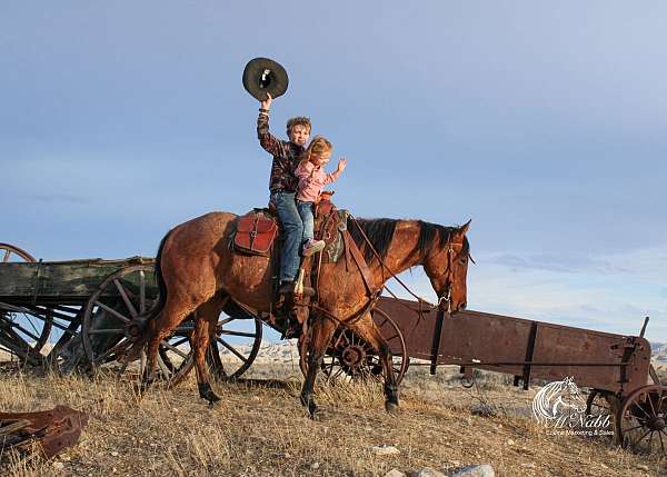 ranch-versatility-quarter-horse