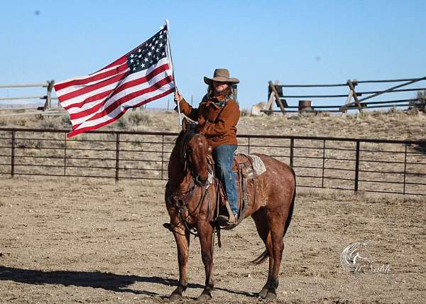 trail-riding-quarter-horse