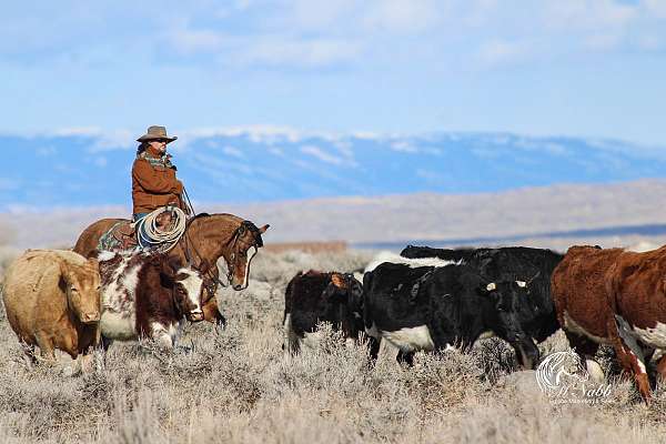 roping-quarter-horse