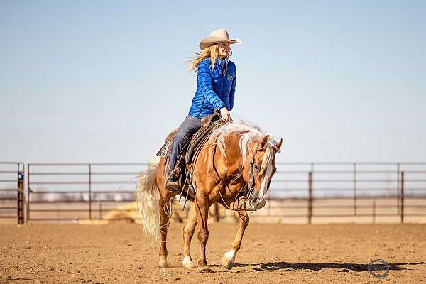 ranch-versatility-quarter-horse