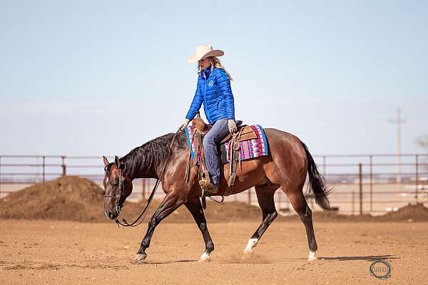 barrel-racing-quarter-horse