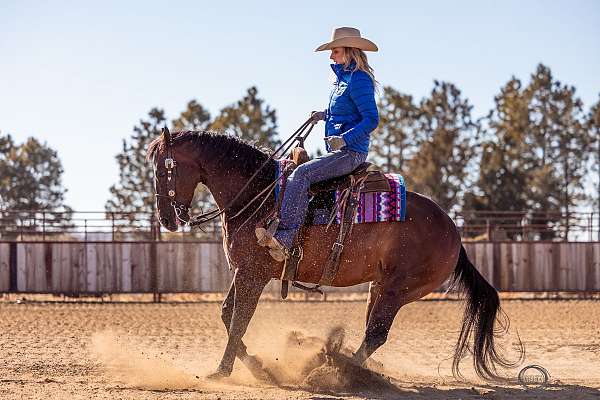 athletic-quarter-horse