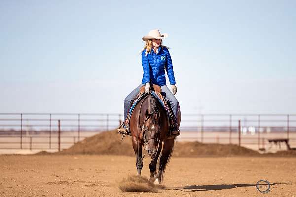 heading-quarter-horse