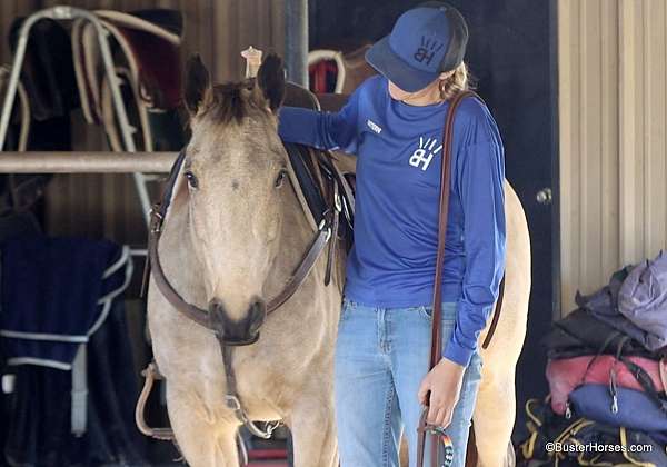 trail-quarter-horse