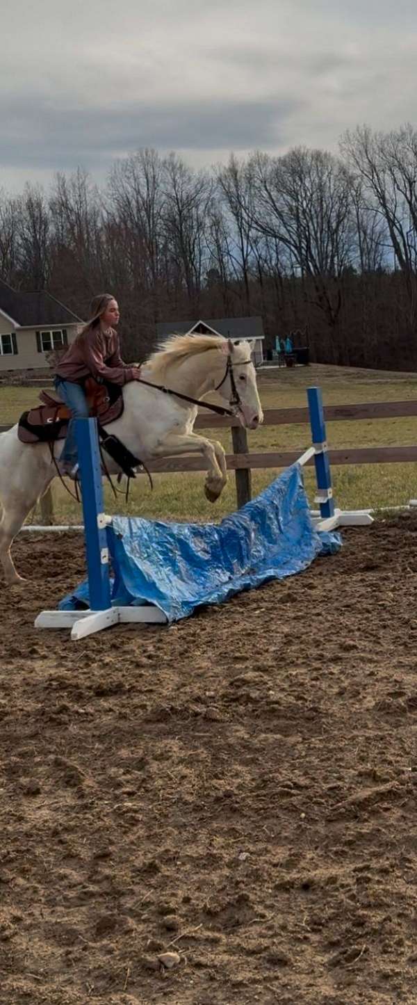 rodeo-pickup-poa-pony